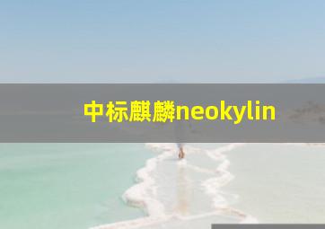 中标麒麟neokylin