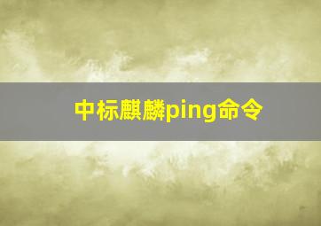 中标麒麟ping命令