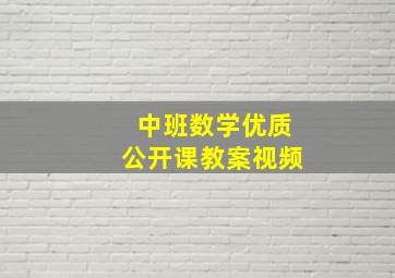 中班数学优质公开课教案视频