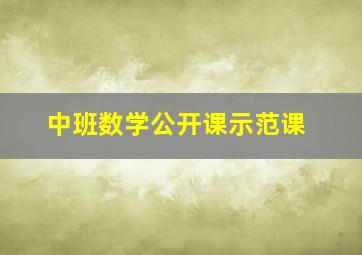 中班数学公开课示范课