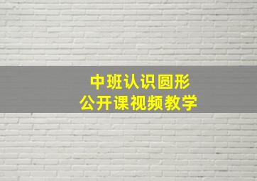 中班认识圆形公开课视频教学