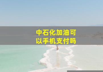 中石化加油可以手机支付吗