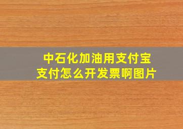 中石化加油用支付宝支付怎么开发票啊图片