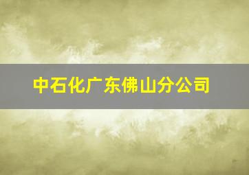 中石化广东佛山分公司