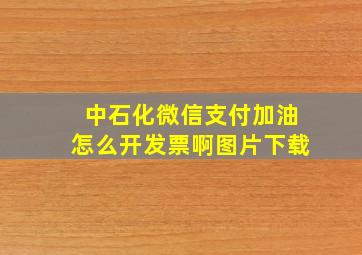 中石化微信支付加油怎么开发票啊图片下载