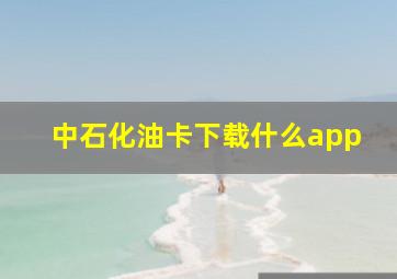 中石化油卡下载什么app