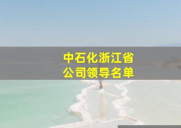 中石化浙江省公司领导名单