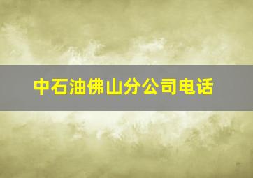 中石油佛山分公司电话