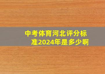 中考体育河北评分标准2024年是多少啊