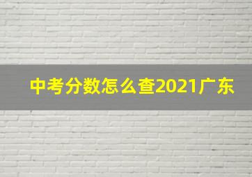 中考分数怎么查2021广东