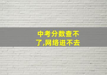 中考分数查不了,网络进不去