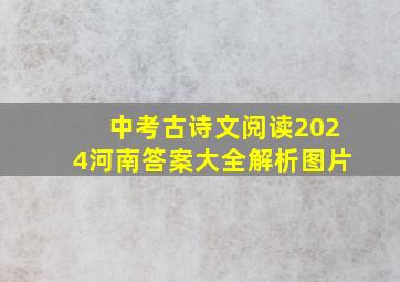 中考古诗文阅读2024河南答案大全解析图片