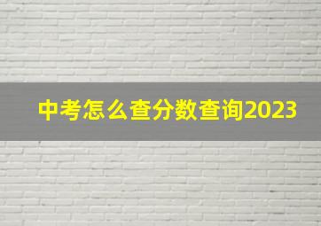 中考怎么查分数查询2023