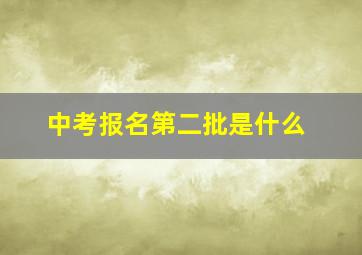 中考报名第二批是什么