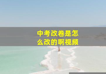 中考改卷是怎么改的啊视频