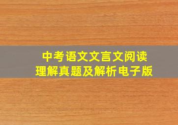 中考语文文言文阅读理解真题及解析电子版