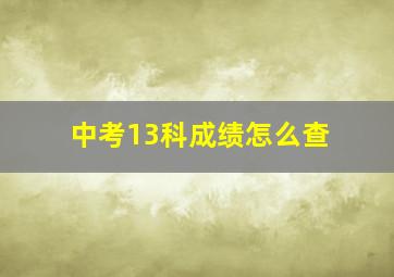 中考13科成绩怎么查