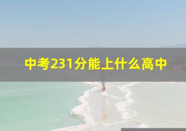 中考231分能上什么高中