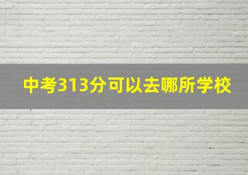 中考313分可以去哪所学校