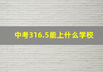 中考316.5能上什么学校