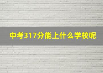 中考317分能上什么学校呢