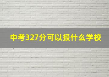 中考327分可以报什么学校