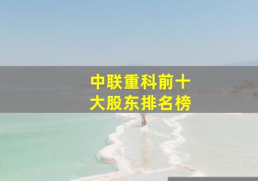 中联重科前十大股东排名榜