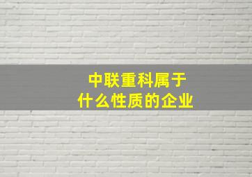 中联重科属于什么性质的企业