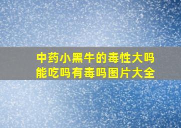 中药小黑牛的毒性大吗能吃吗有毒吗图片大全