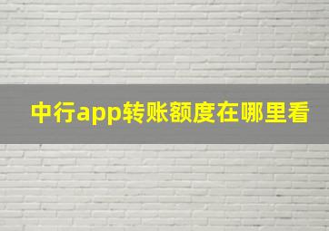 中行app转账额度在哪里看