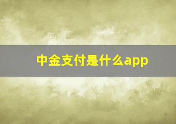 中金支付是什么app