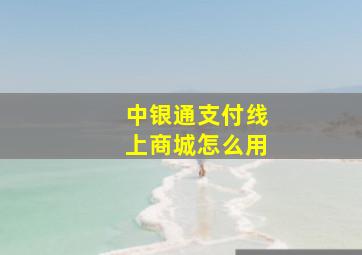 中银通支付线上商城怎么用