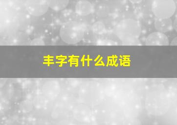 丰字有什么成语