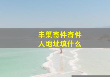 丰巢寄件寄件人地址填什么