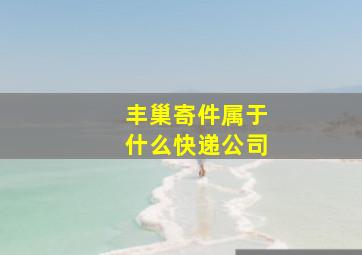 丰巢寄件属于什么快递公司