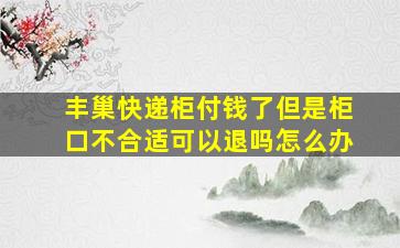 丰巢快递柜付钱了但是柜口不合适可以退吗怎么办