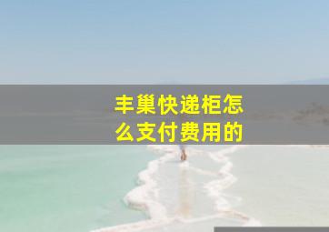 丰巢快递柜怎么支付费用的