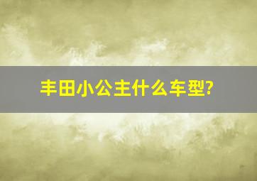 丰田小公主什么车型?