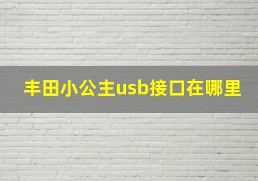 丰田小公主usb接口在哪里