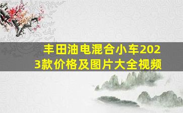 丰田油电混合小车2023款价格及图片大全视频