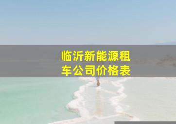 临沂新能源租车公司价格表