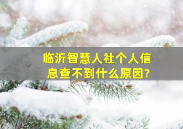 临沂智慧人社个人信息查不到什么原因?