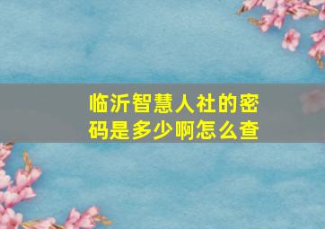 临沂智慧人社的密码是多少啊怎么查