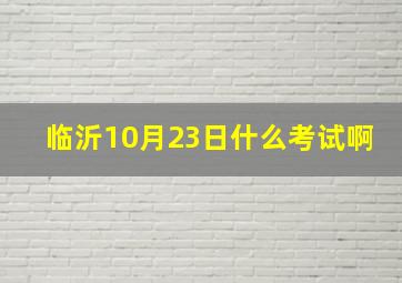 临沂10月23日什么考试啊