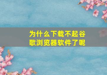 为什么下载不起谷歌浏览器软件了呢