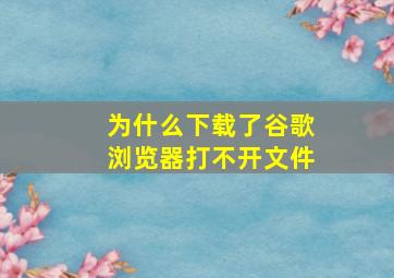 为什么下载了谷歌浏览器打不开文件