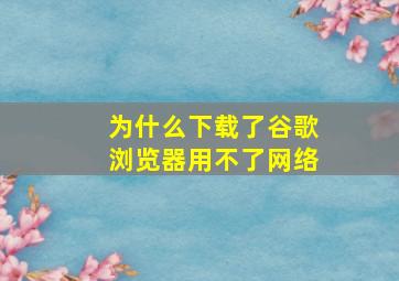 为什么下载了谷歌浏览器用不了网络