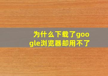 为什么下载了google浏览器却用不了