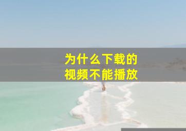 为什么下载的视频不能播放