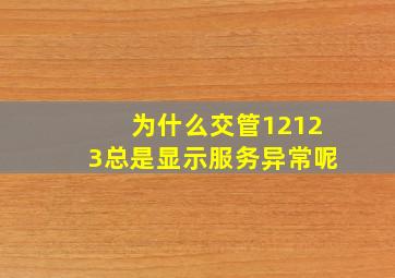 为什么交管12123总是显示服务异常呢